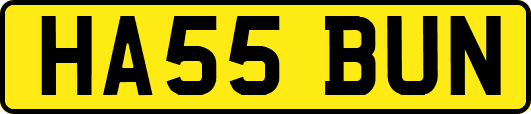 HA55BUN