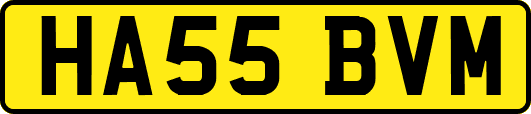 HA55BVM