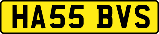 HA55BVS
