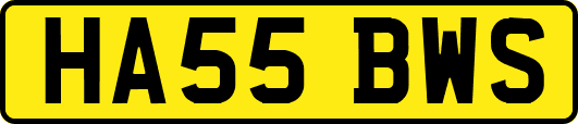 HA55BWS