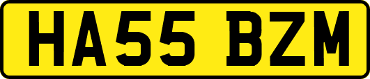 HA55BZM