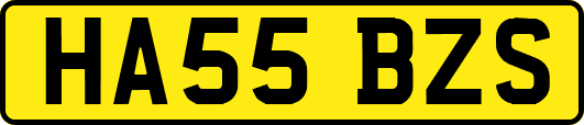 HA55BZS