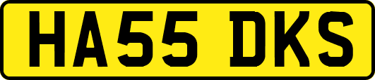 HA55DKS