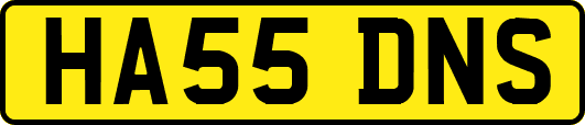 HA55DNS
