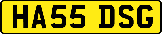 HA55DSG
