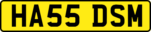 HA55DSM
