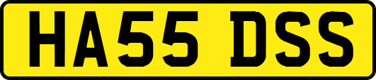 HA55DSS