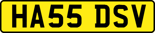 HA55DSV