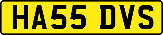 HA55DVS