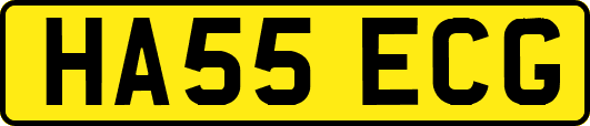 HA55ECG