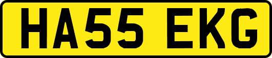 HA55EKG