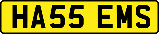 HA55EMS