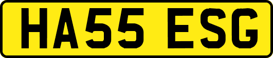 HA55ESG