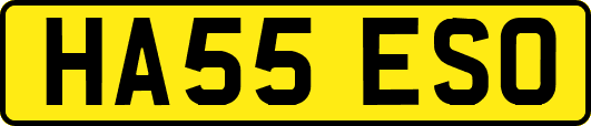 HA55ESO