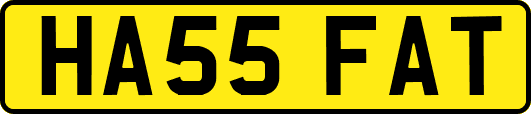 HA55FAT