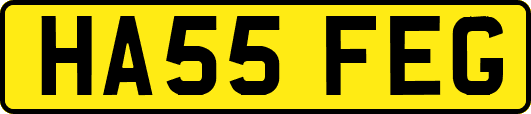 HA55FEG