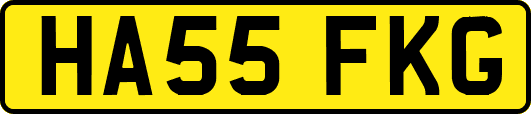 HA55FKG