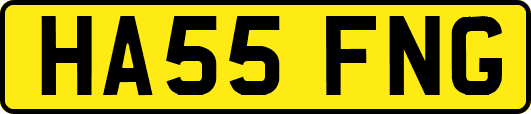 HA55FNG