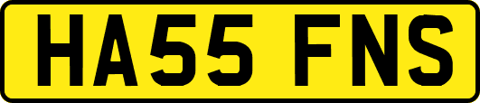 HA55FNS