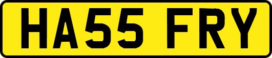HA55FRY