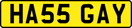 HA55GAY