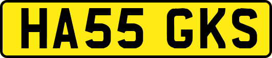 HA55GKS