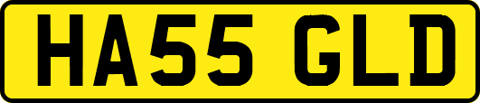 HA55GLD