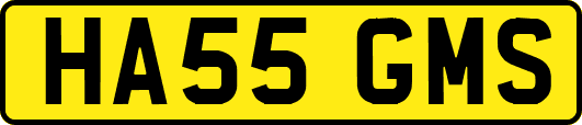 HA55GMS
