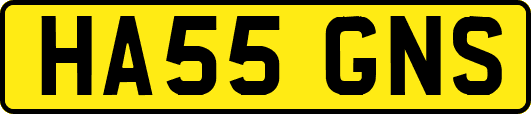 HA55GNS