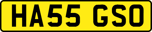 HA55GSO