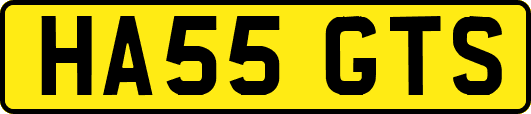 HA55GTS