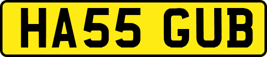 HA55GUB