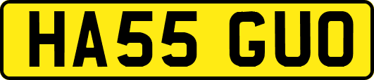HA55GUO