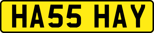 HA55HAY