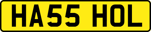 HA55HOL