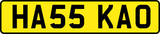 HA55KAO