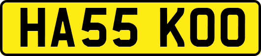 HA55KOO
