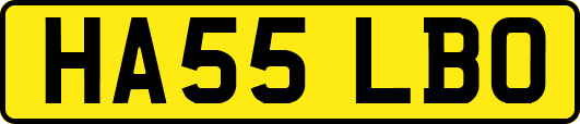 HA55LBO