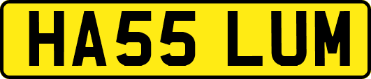 HA55LUM
