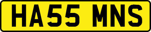 HA55MNS