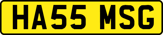 HA55MSG