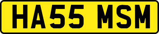 HA55MSM