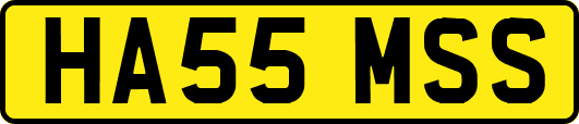 HA55MSS