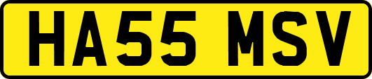 HA55MSV