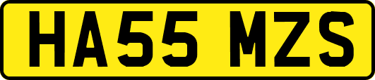 HA55MZS