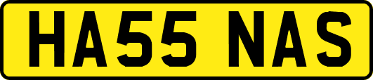 HA55NAS