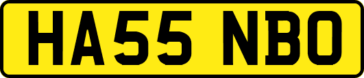 HA55NBO