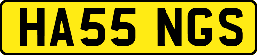 HA55NGS
