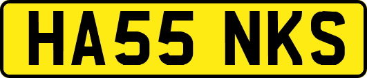 HA55NKS