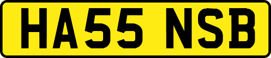 HA55NSB